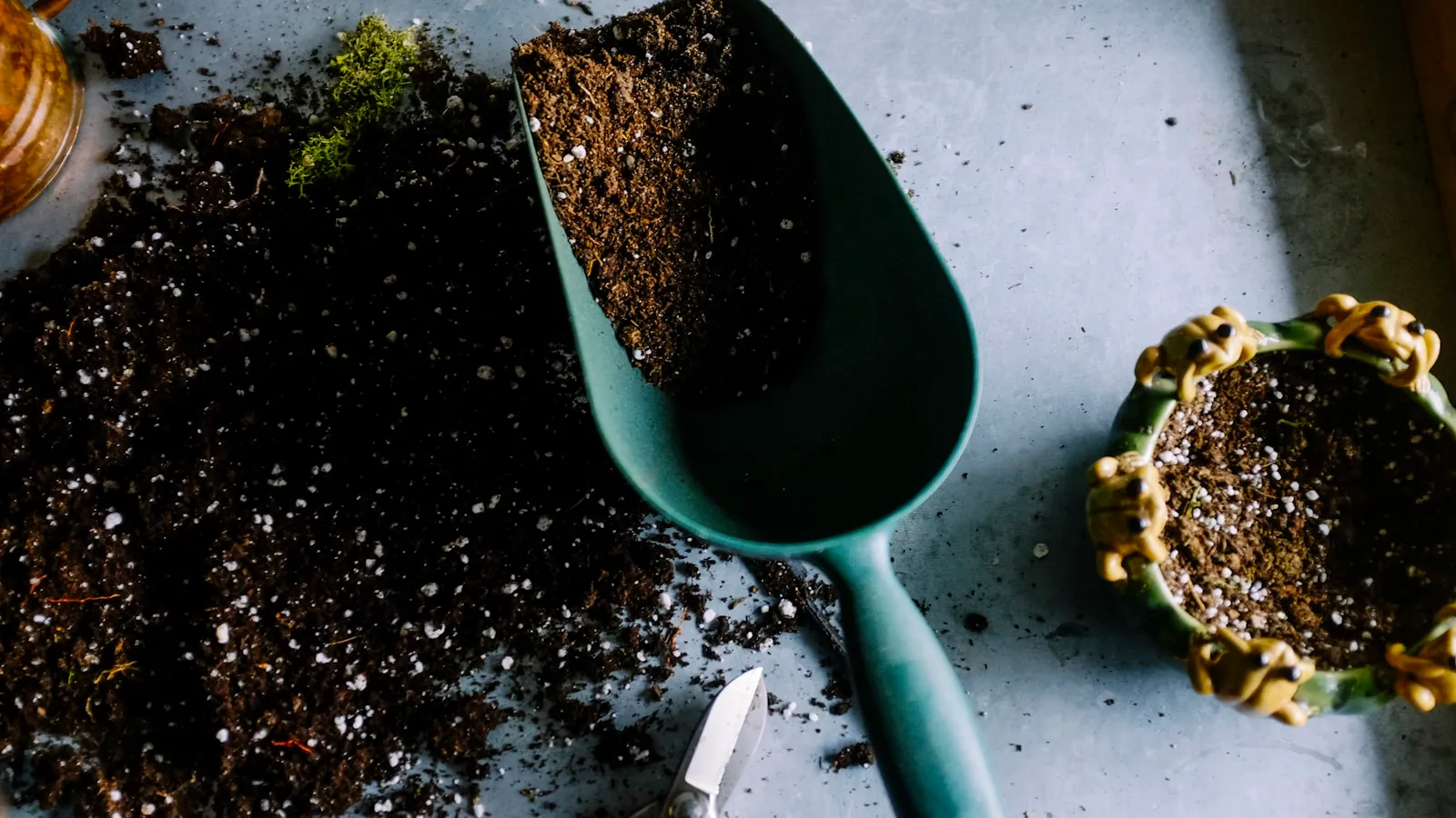 Planter, c'est décider de ce que sera le jardin dans dix ans