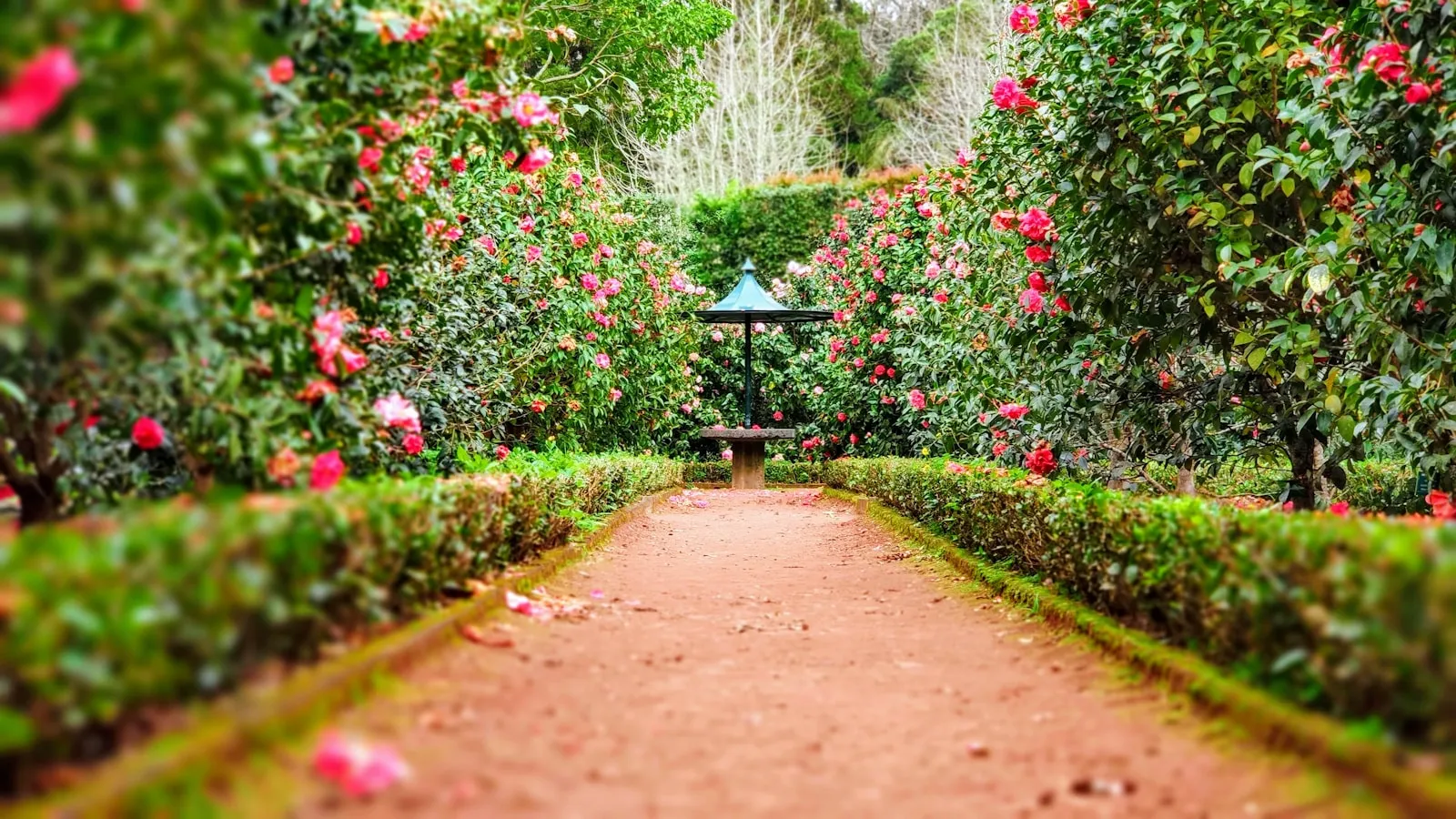 Votre jardin entretenu, pas aseptisé
