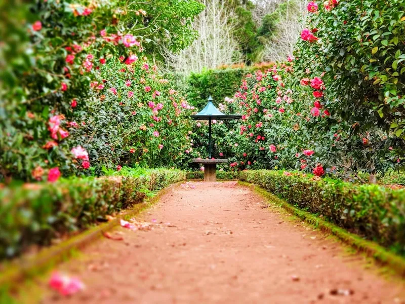 Jardin entretenu avec massifs et végétation variée